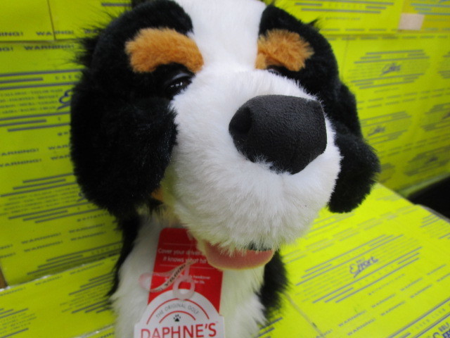 DAPHNE'S<br>Burnese mountain Dog DR