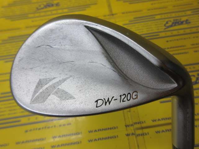 キャスコ　DW120G