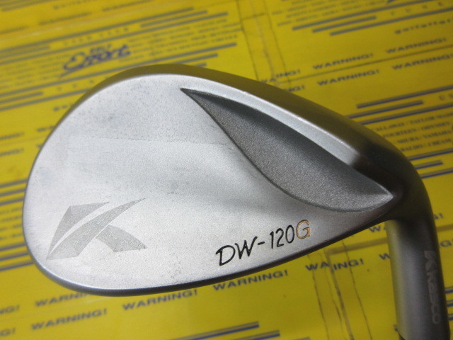 キャスコ　DW120G