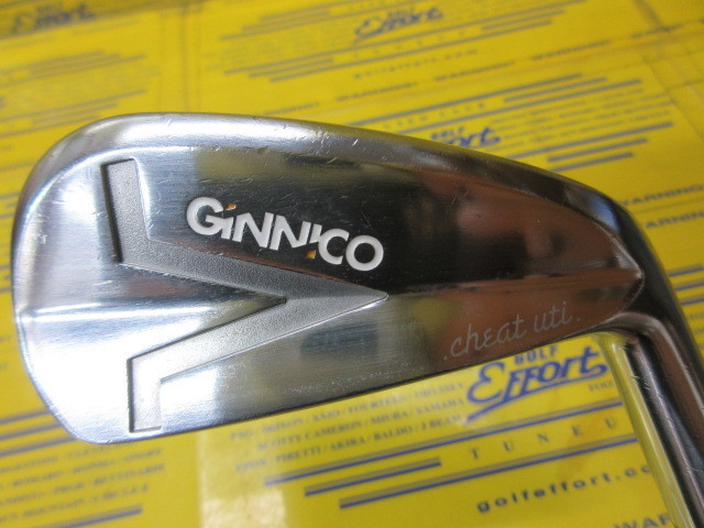 GINNICO IRON UT