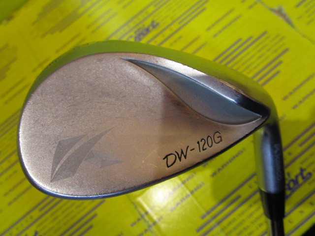 キャスコ　DW120G