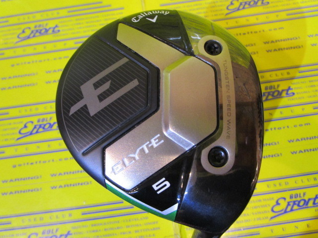 ELYTE