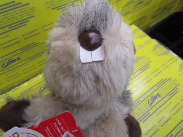 DAPHNE'S　Gopher DR