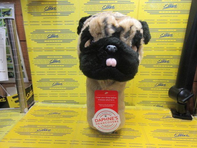 DAPHNE'S　Pug DR