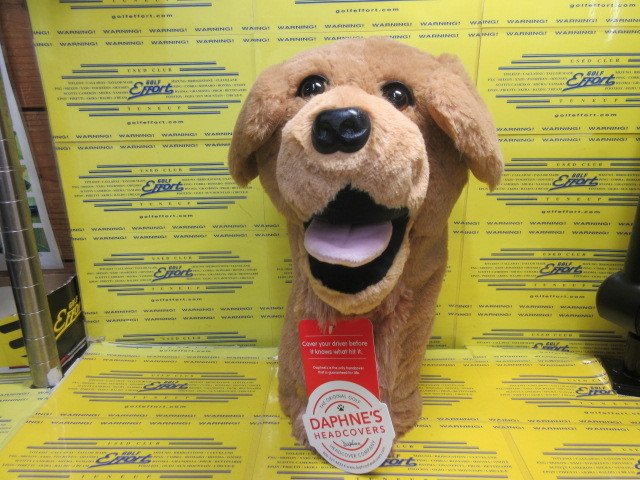 DAPHNE'S<br>Golden Retriever DR